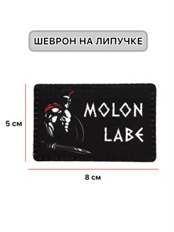 Шеврон МШ01 "Molon labe" - фото 40668